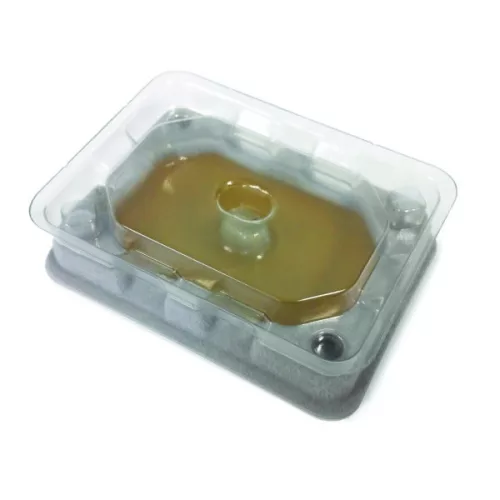 Slider bed bug monitoring trap