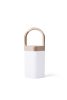 Lexon Horizon Hanging Lamp - gold