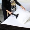 PRO2000 Clothes steaming system