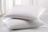 CUSHION microfiber 40X50 cm 250 gr